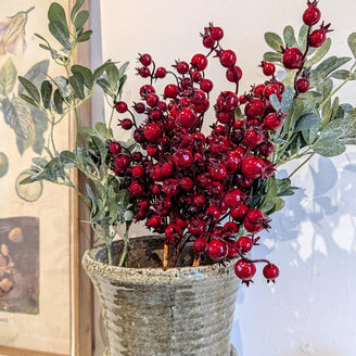 Christmas Cranberry Spray