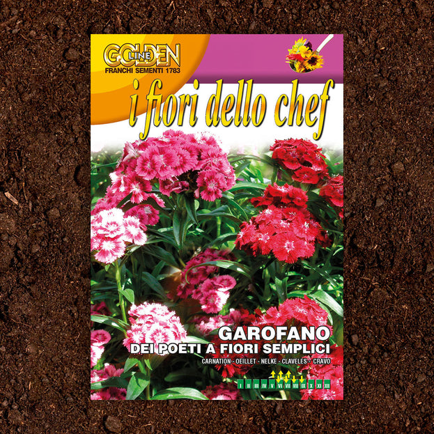 Buy Edible Sweet William Flower Seeds — The Worm that Turned