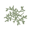 Elia Trivet