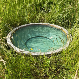 Tranquil Zen Dragonfly Bowl with Jade Glaze
