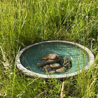 Tranquil Zen Dragonfly Bowl with Jade Glaze