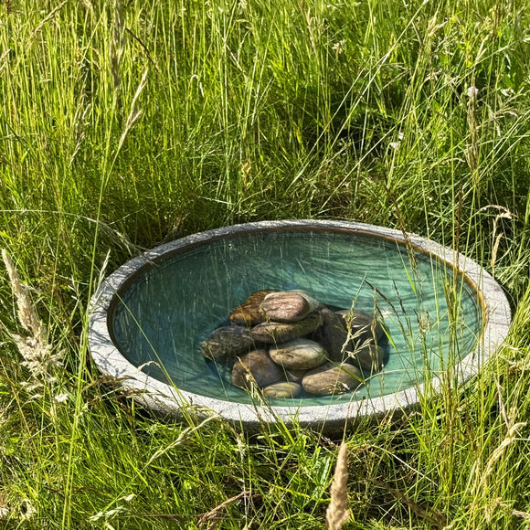 Tranquil Zen Dragonfly Bowl with Jade Glaze