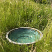 Tranquil Zen Dragonfly Bowl with Jade Glaze