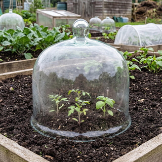Glass Bell Dome