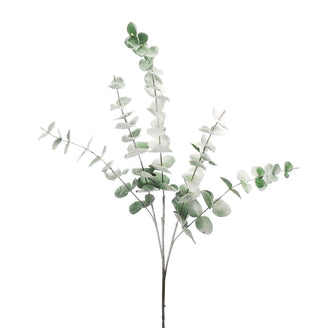 Green Frosted Eucalyptus Stem