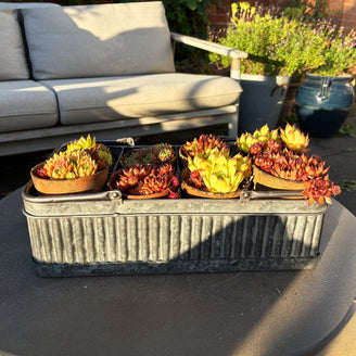 Vintage French-Style Metal Garden Caddy