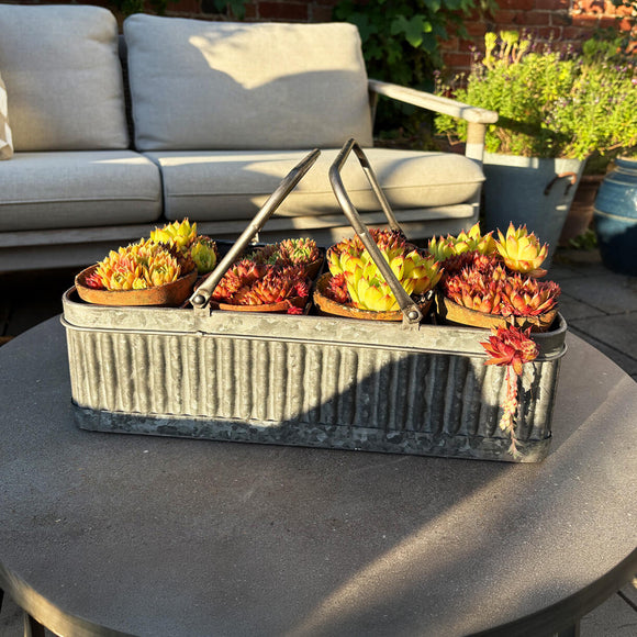 Vintage French-Style Metal Garden Caddy