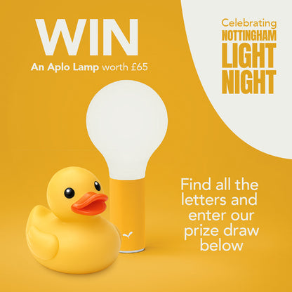 Celebrating Light Night