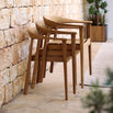 Majestic Teak Armchair