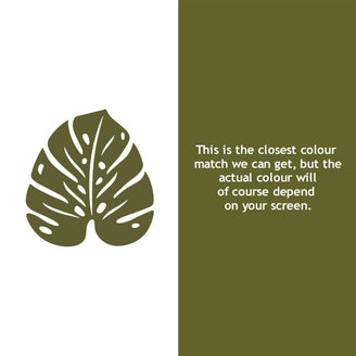 Monstera Leaf Trivet