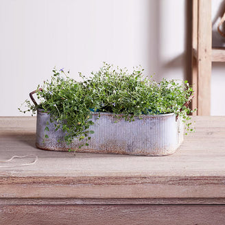Outdoor Planter Tray with Aged Zinc finish