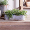 Outdoor Planter Tray with Aged Zinc finish