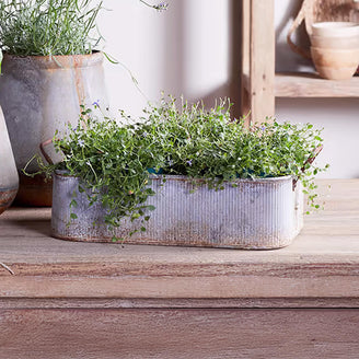 Outdoor Planter Tray with Aged Zinc finish