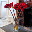 Red Faux Amaryllis Stem