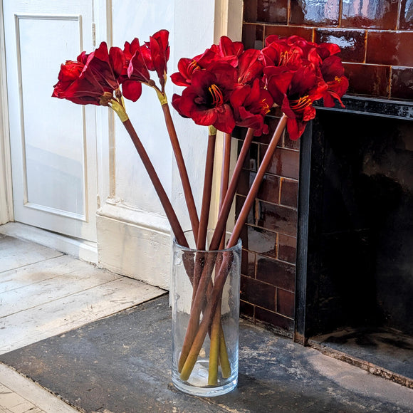 Red Faux Amaryllis Stem