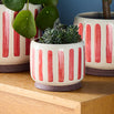 Retro Striped Glazed Indoor Planter