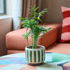 Retro Striped Glazed Indoor Planter