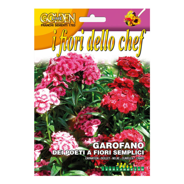 Buy Edible Sweet William Flower Seeds — The Worm that Turned