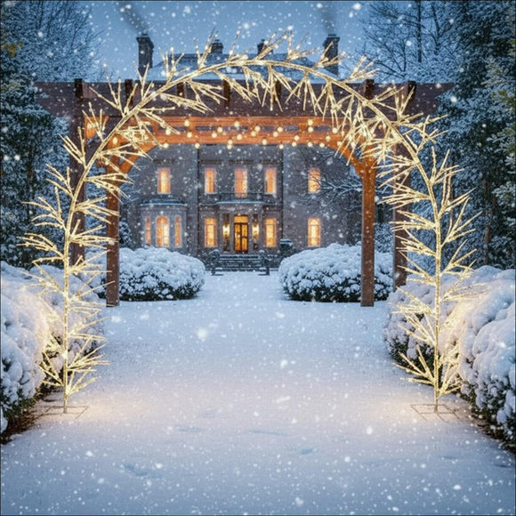 Silver Birch Twig Arch with Warm White LEDs