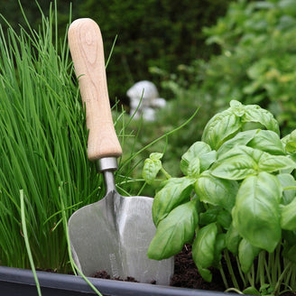 Sneeboer Transplanting Trowel