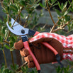 Retro Red Bypass Secateurs