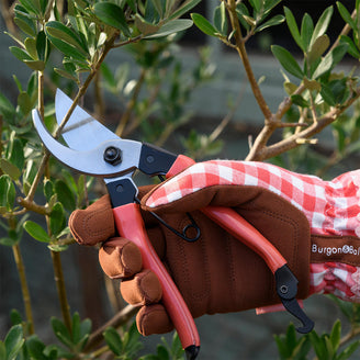 Retro Red Bypass Secateurs