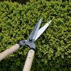 Niwaki Garden Shears with Oak Handles
