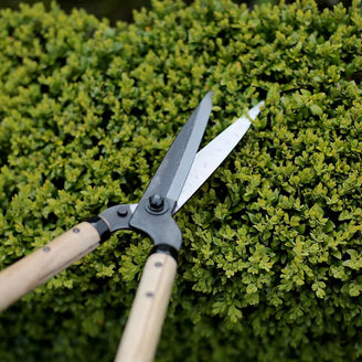 Niwaki Garden Shears with Oak Handles
