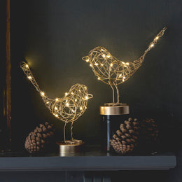 Table Robin LED Light