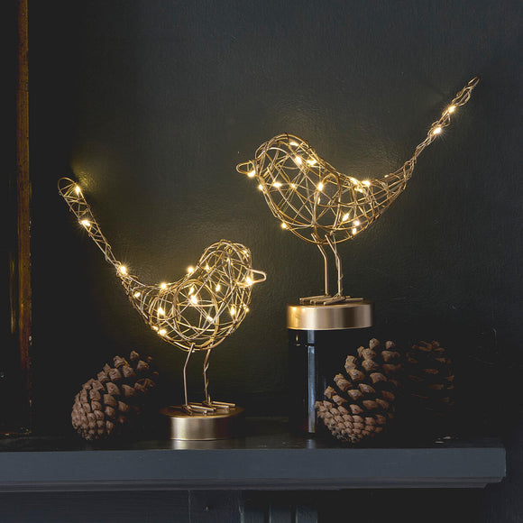 Table Robin LED Light