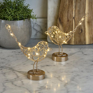 Table Robin LED Light