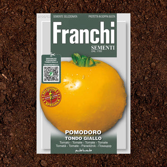 Tomato Zloty Yellow Seeds