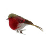 Tradtional Robin on Clip