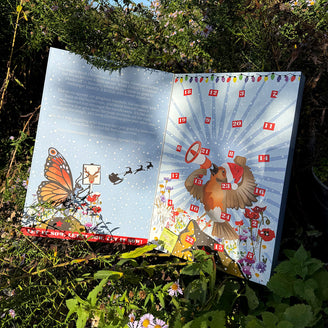 Wildflower Seed Advent Calendar