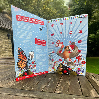 Wildflower Seed Advent Calendar
