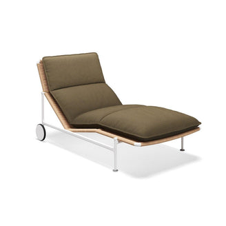 Zenith Sunlounger