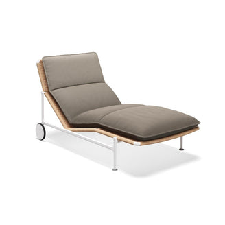Zenith Sunlounger