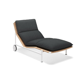 Zenith Sunlounger