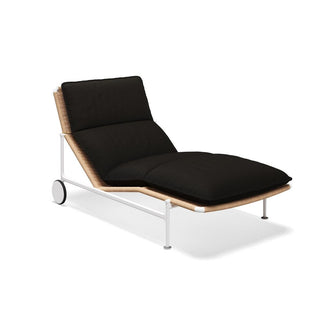 Zenith Sunlounger
