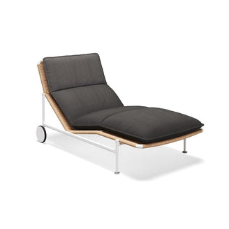 Zenith Sunlounger