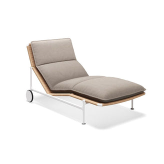 Zenith Sunlounger