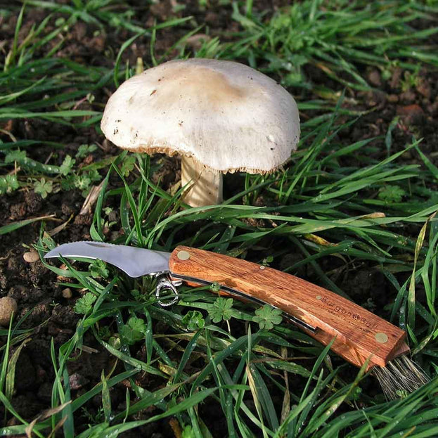 Mushroom Collecting Knife (4646495322172)
