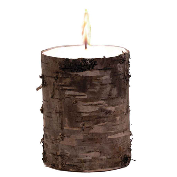 Silver Birch Candle (4646489096252)