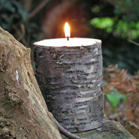 Silver Birch Candle (4646489096252)