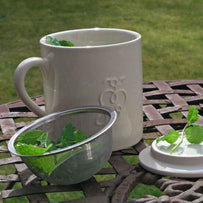 Mint Tea & Mug Set (4646508396604)