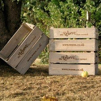 Set of 3 Fruit Boxes (4646606471228)
