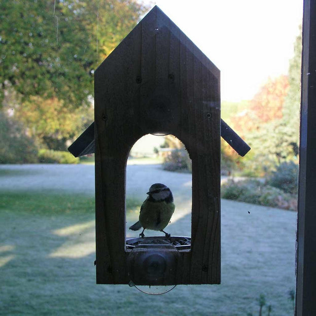 Window Bird Feeder (4646549913660)