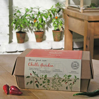 Kew 'Grow your Own' Chilli (4646937165884)