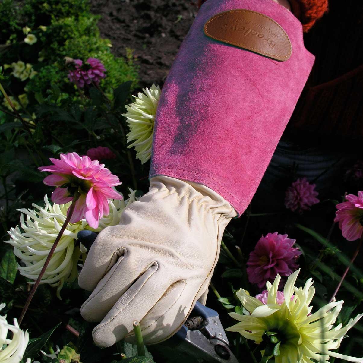 Pink Gauntlet Buy Pink Pruning Gauntlets — The Worm that Turned - revitalising your ...