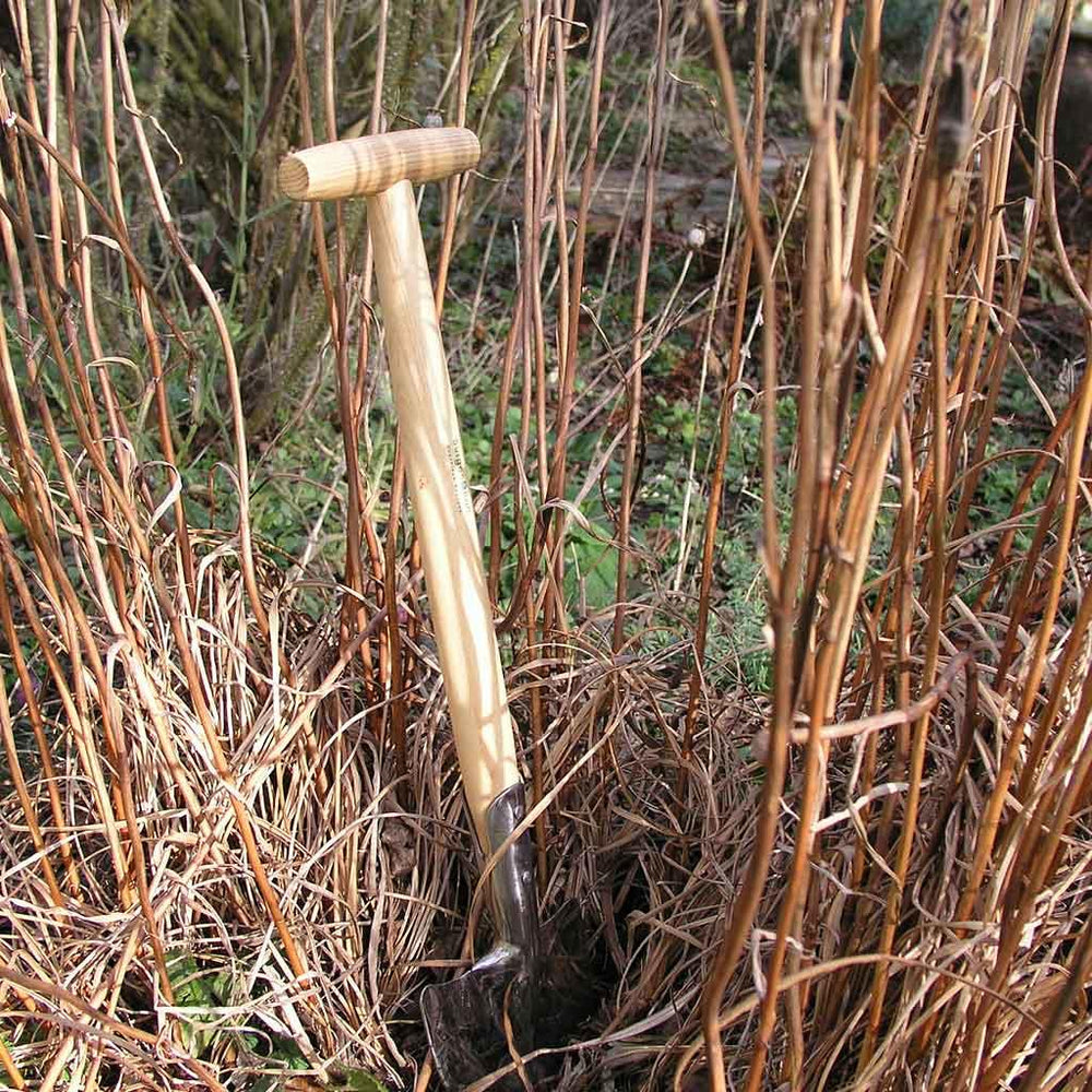 Buy Perennial Spade — The Worm that Turned - revitalising your outdoor ...